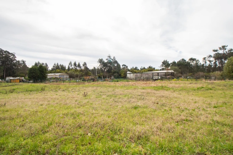 Terreno para Venda em Fonte de Angeão e Covão do Lobo Foto 14