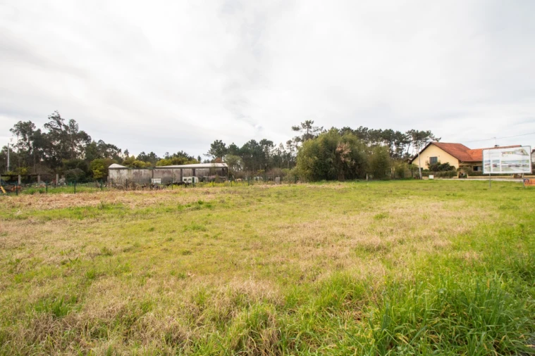 Terreno para Venda em Fonte de Angeão e Covão do Lobo Foto 15