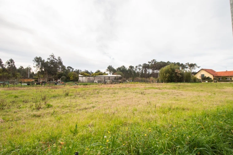 Terreno para Venda em Fonte de Angeão e Covão do Lobo Foto 16