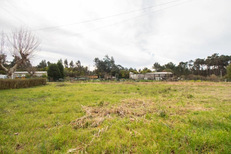 Terreno para Venda em Fonte de Angeão e Covão do Lobo Foto 17