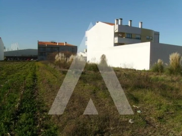 Terreno para Venda em Ílhavo (São Salvador)