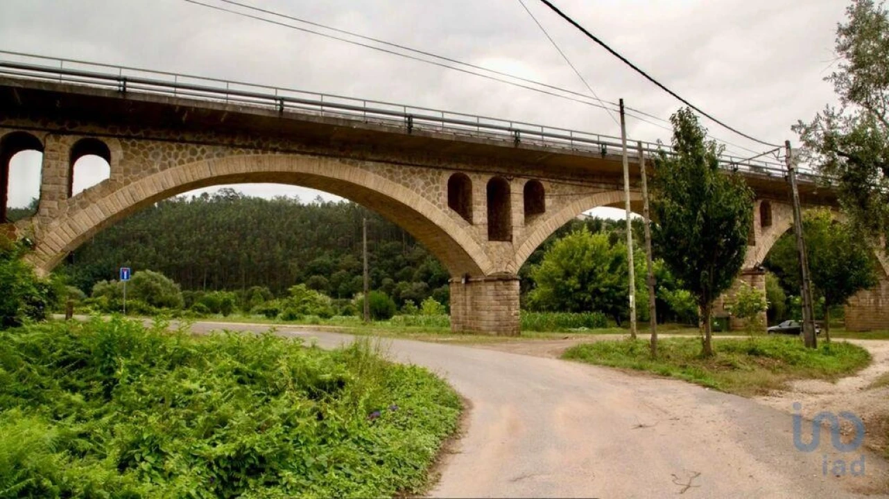 Terreno para Venda em Macinhata do Vouga Foto 11