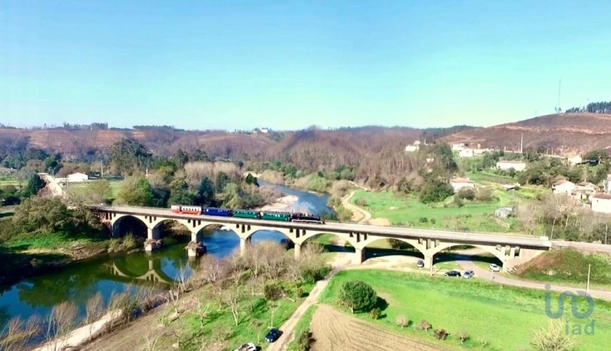 Terreno para Venda em Macinhata do Vouga Foto 12