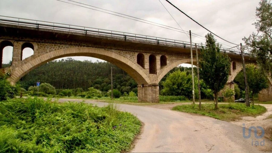 Terreno para Venda em Macinhata do Vouga Foto 11