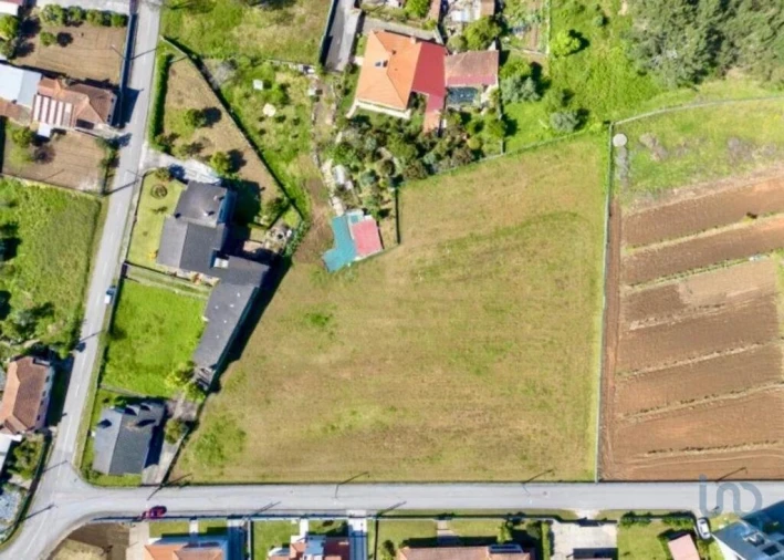 Terreno para Venda em Macinhata do Vouga Foto 2