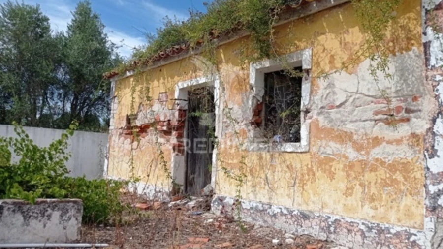 Quinta para Venda em Montargil Foto 5