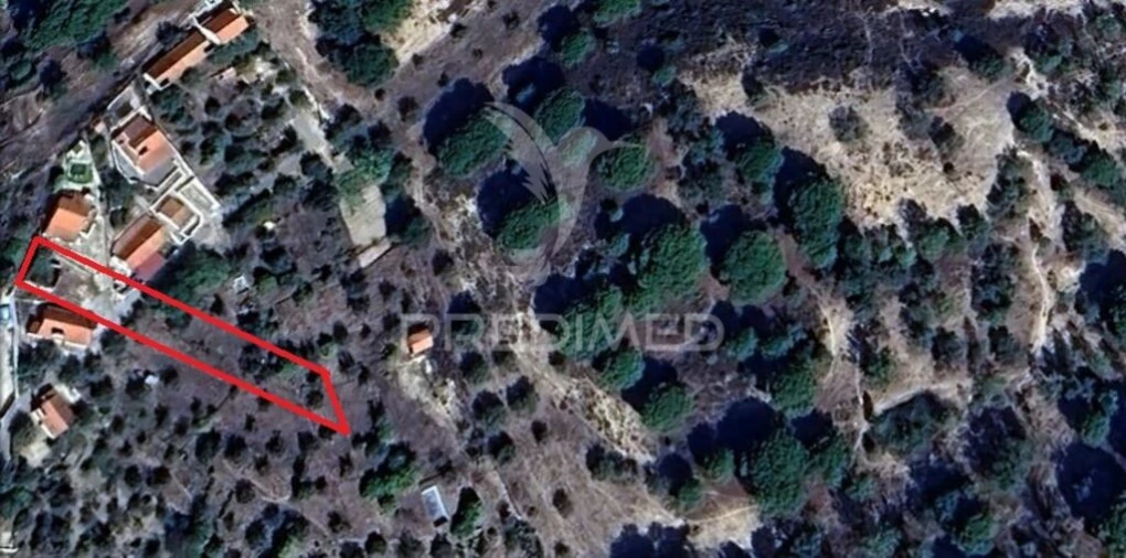 Quinta para Venda em Montargil Foto 14