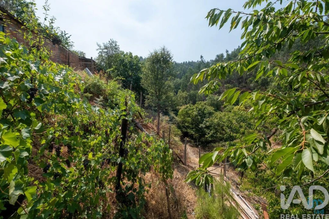 Moradia para Venda em Alvares Foto 1