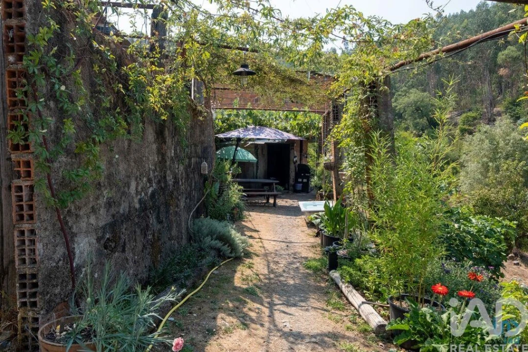 Moradia para Venda em Alvares Foto 3