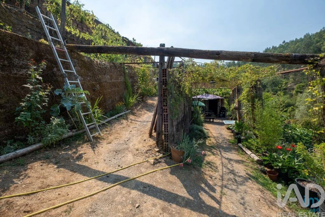 Moradia para Venda em Alvares Foto 4