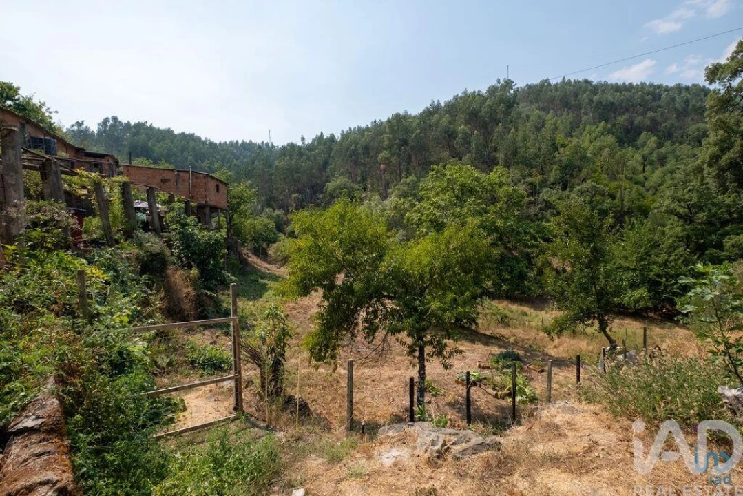 Moradia para Venda em Alvares Foto 2