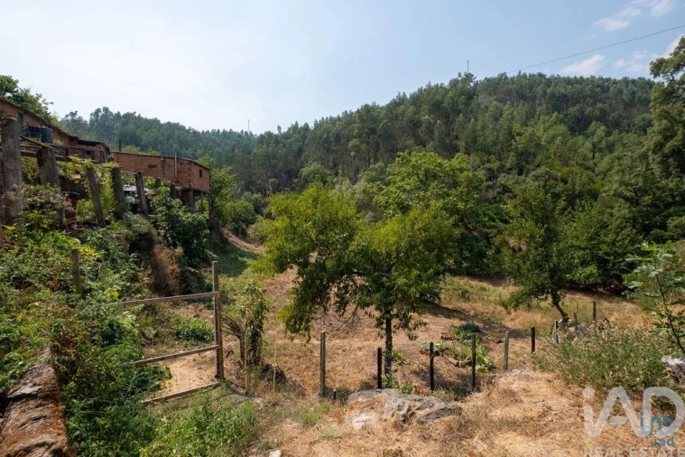 Moradia para Venda em Alvares Foto 2