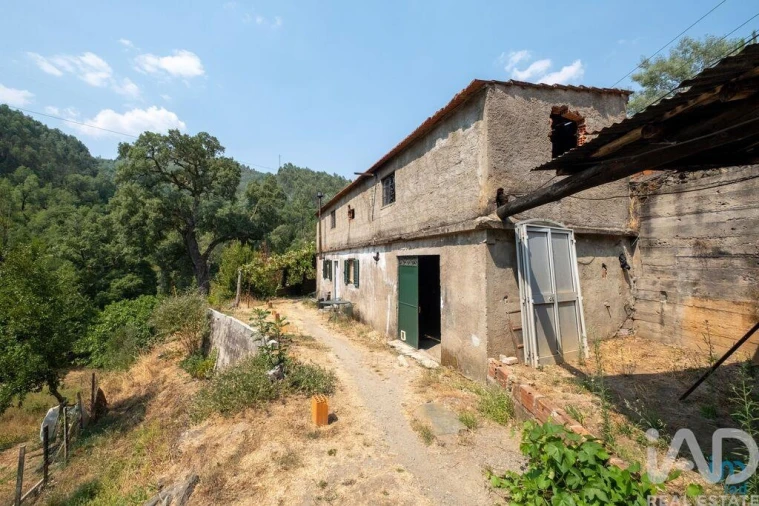 Moradia para Venda em Alvares Foto 5