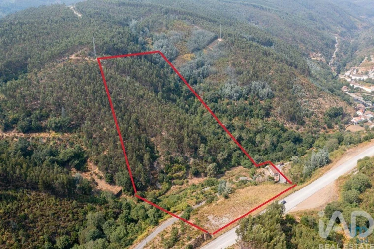 Moradia para Venda em Alvares Foto 16