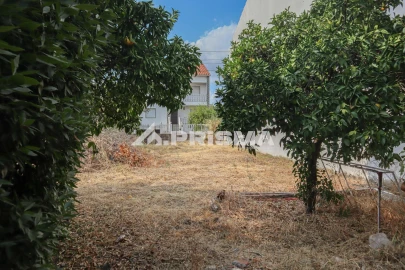 Terreno para Venda em Castelo Branco