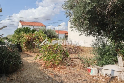 Terreno para Venda em Castelo Branco