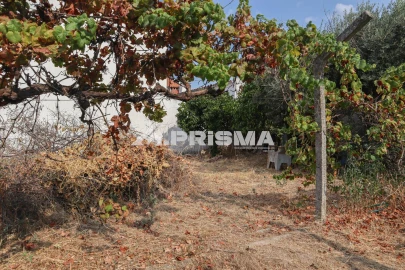 Terreno para Venda em Castelo Branco