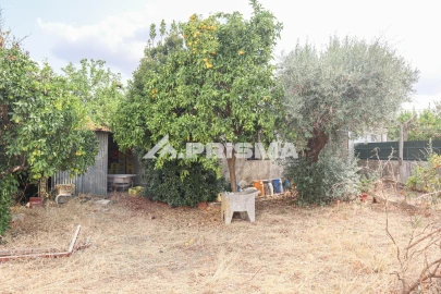 Terreno para Venda em Castelo Branco