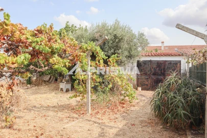 Terreno para Venda em Castelo Branco