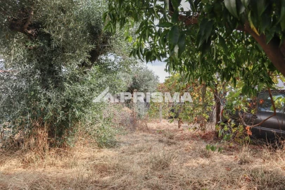 Terreno para Venda em Castelo Branco