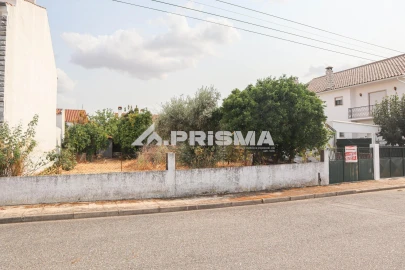 Terreno para Venda em Castelo Branco