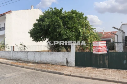 Terreno para Venda em Castelo Branco