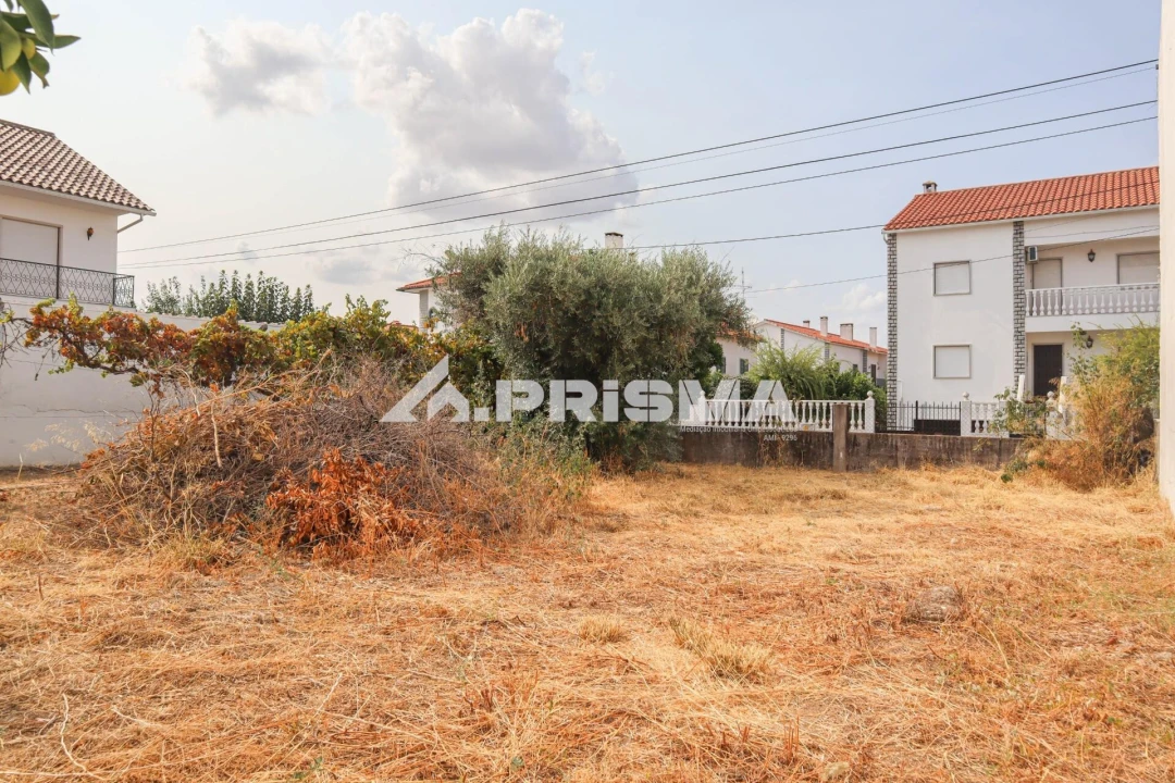 Terreno para Venda em Castelo Branco Foto 6