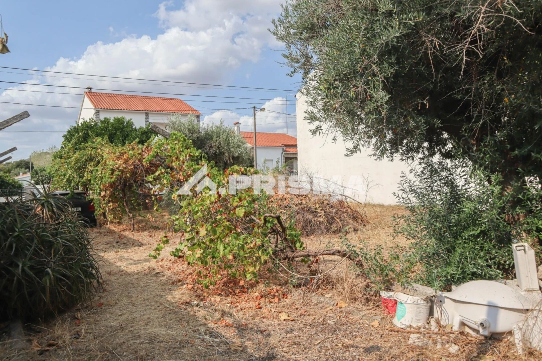 Terreno para Venda em Castelo Branco Foto 9