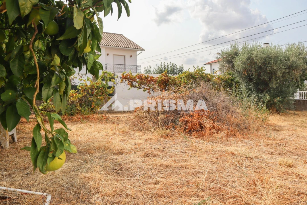 Terreno para Venda em Castelo Branco Foto 7