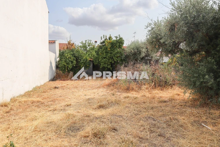 Terreno para Venda em Castelo Branco Foto 3