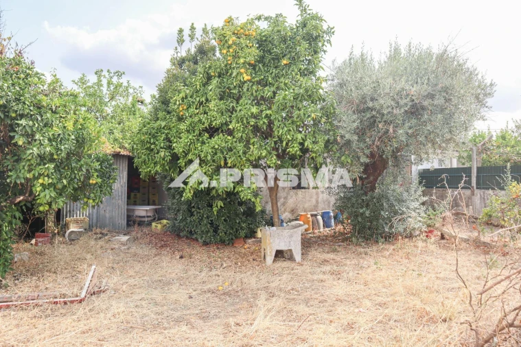 Terreno para Venda em Castelo Branco Foto 4