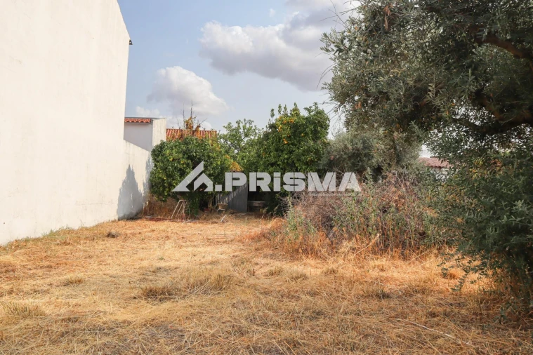Terreno para Venda em Castelo Branco Foto 8