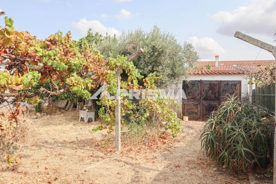 Terreno para Venda em Castelo Branco Foto 5