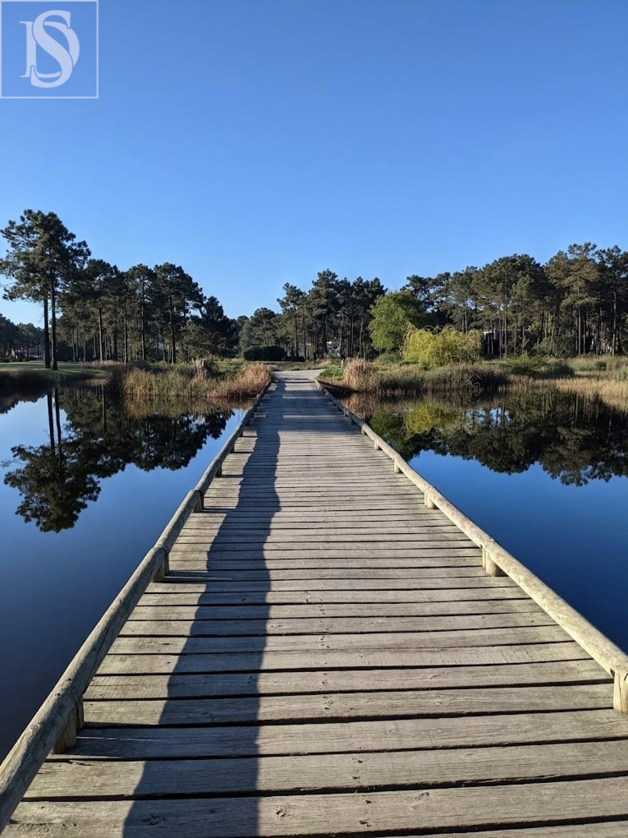 Moradia T8 para Arrendamento em Charneca de Caparica e Sobreda Foto 40