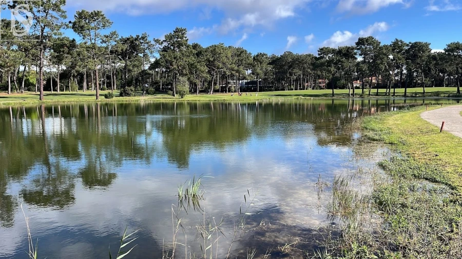 Moradia T8 para Arrendamento em Charneca de Caparica e Sobreda Foto 43