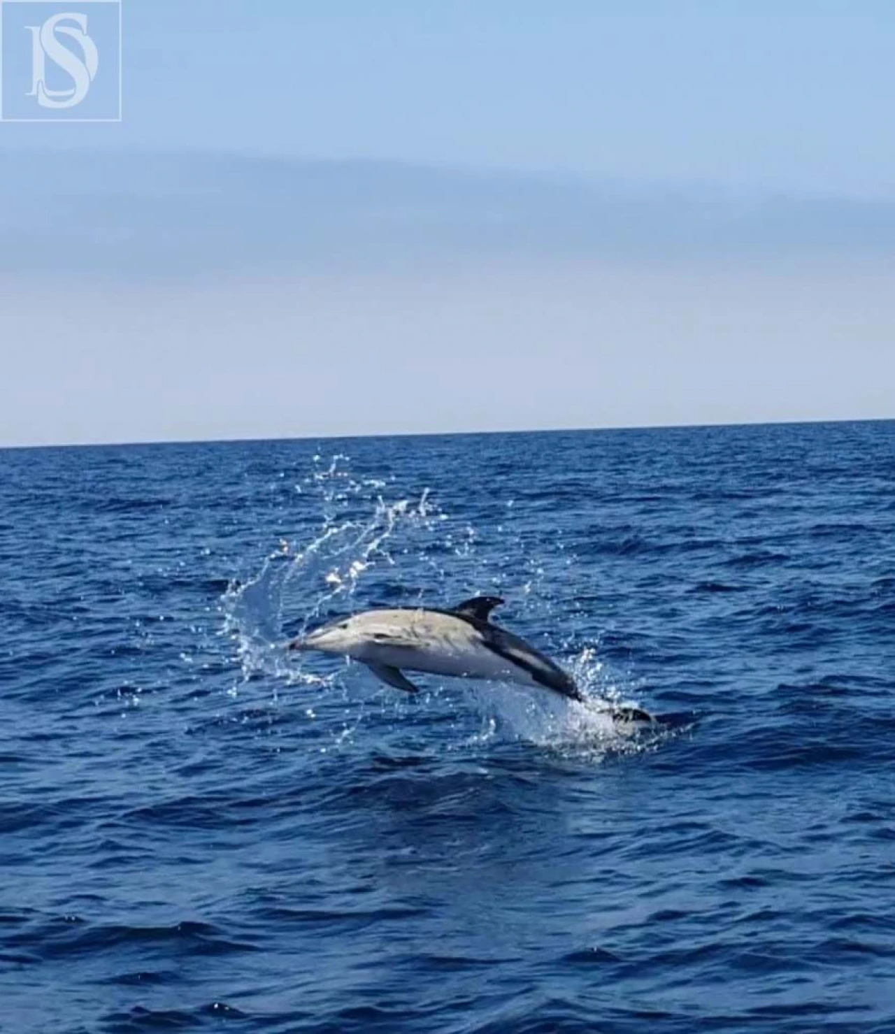 Moradia T8 para Arrendamento em Charneca de Caparica e Sobreda Foto 48