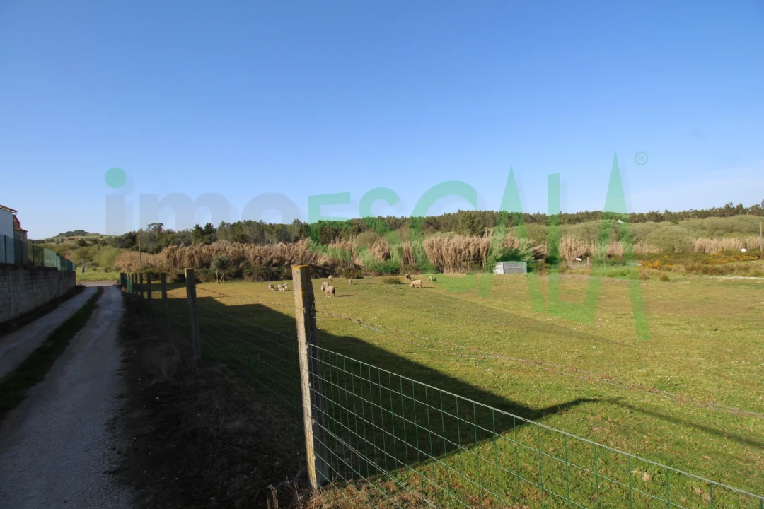 Terreno Misto para Venda em Manique do Intendente, Vila Nova de São Pedro e Maçussa Foto 21