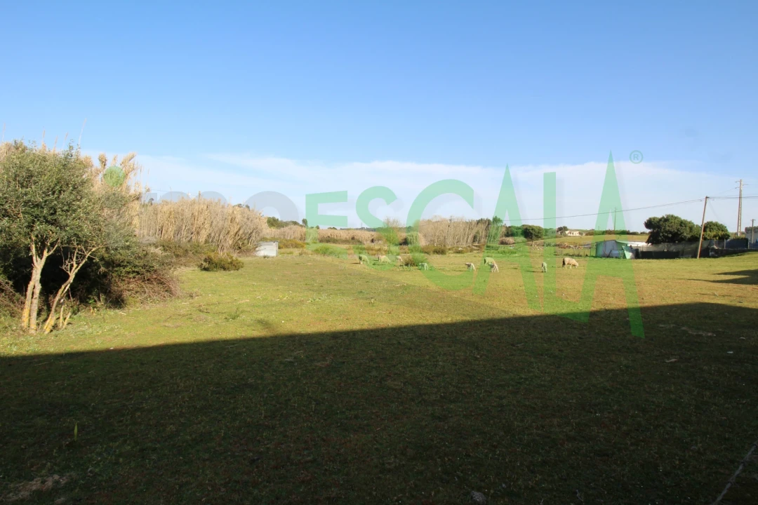 Terreno Misto para Venda em Manique do Intendente, Vila Nova de São Pedro e Maçussa Foto 2