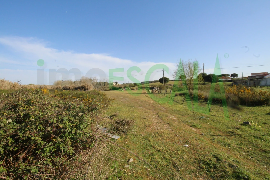 Terreno Misto para Venda em Manique do Intendente, Vila Nova de São Pedro e Maçussa Foto 8