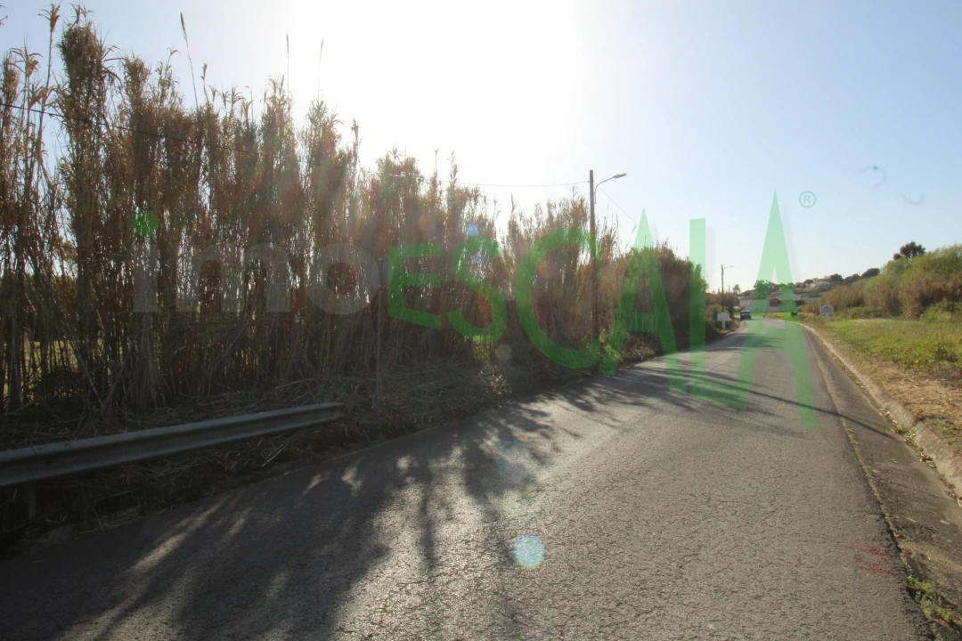 Terreno Misto para Venda em Manique do Intendente, Vila Nova de São Pedro e Maçussa Foto 18