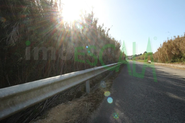 Terreno Misto para Venda em Manique do Intendente, Vila Nova de São Pedro e Maçussa Foto 17