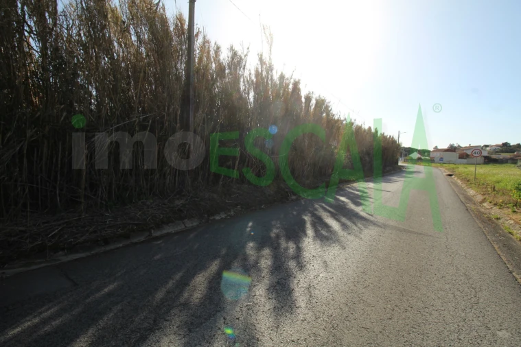 Terreno Misto para Venda em Manique do Intendente, Vila Nova de São Pedro e Maçussa Foto 13