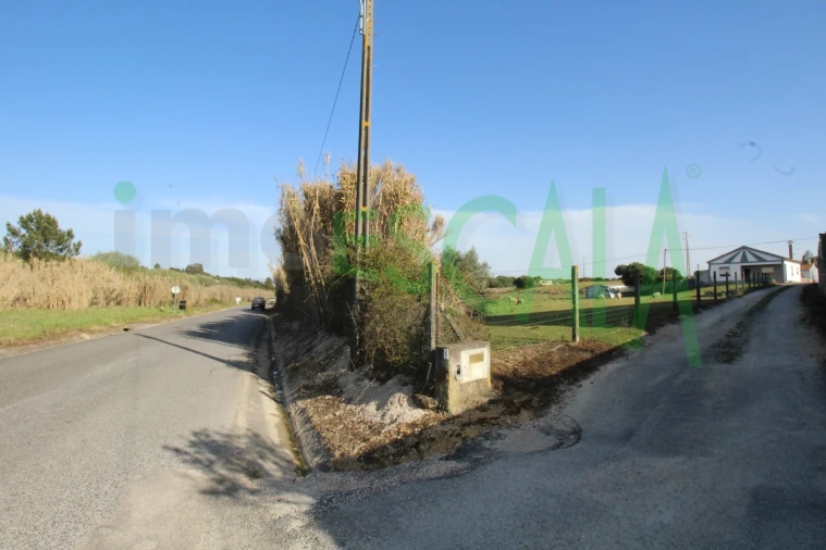 Terreno Misto para Venda em Manique do Intendente, Vila Nova de São Pedro e Maçussa Foto 20