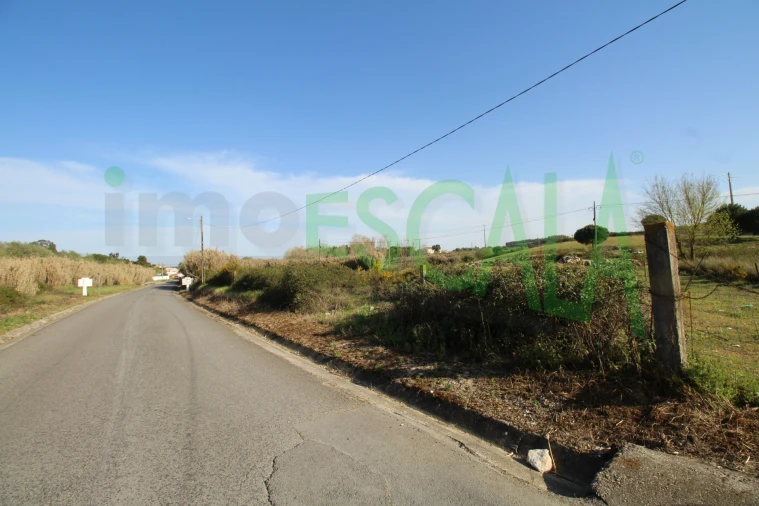 Terreno Misto para Venda em Manique do Intendente, Vila Nova de São Pedro e Maçussa Foto 12