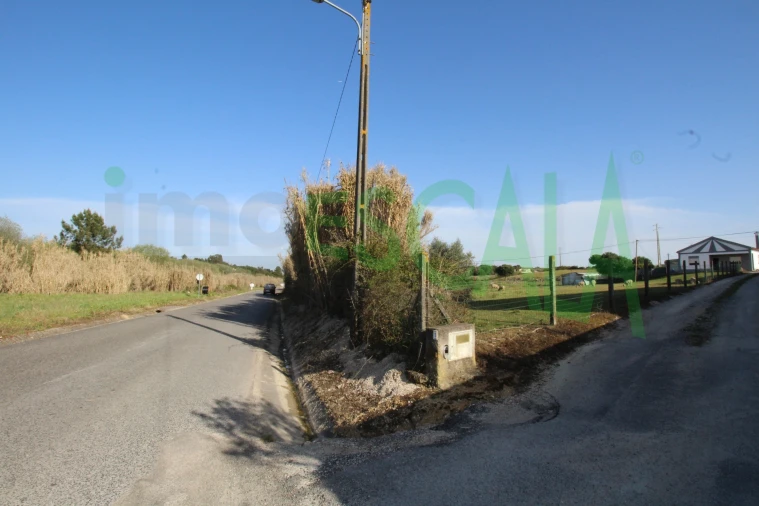 Terreno Misto para Venda em Manique do Intendente, Vila Nova de São Pedro e Maçussa Foto 19