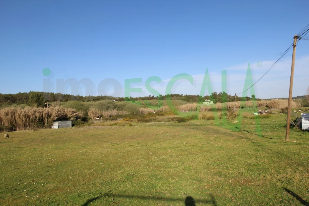 Terreno Misto para Venda em Manique do Intendente, Vila Nova de São Pedro e Maçussa Foto 23