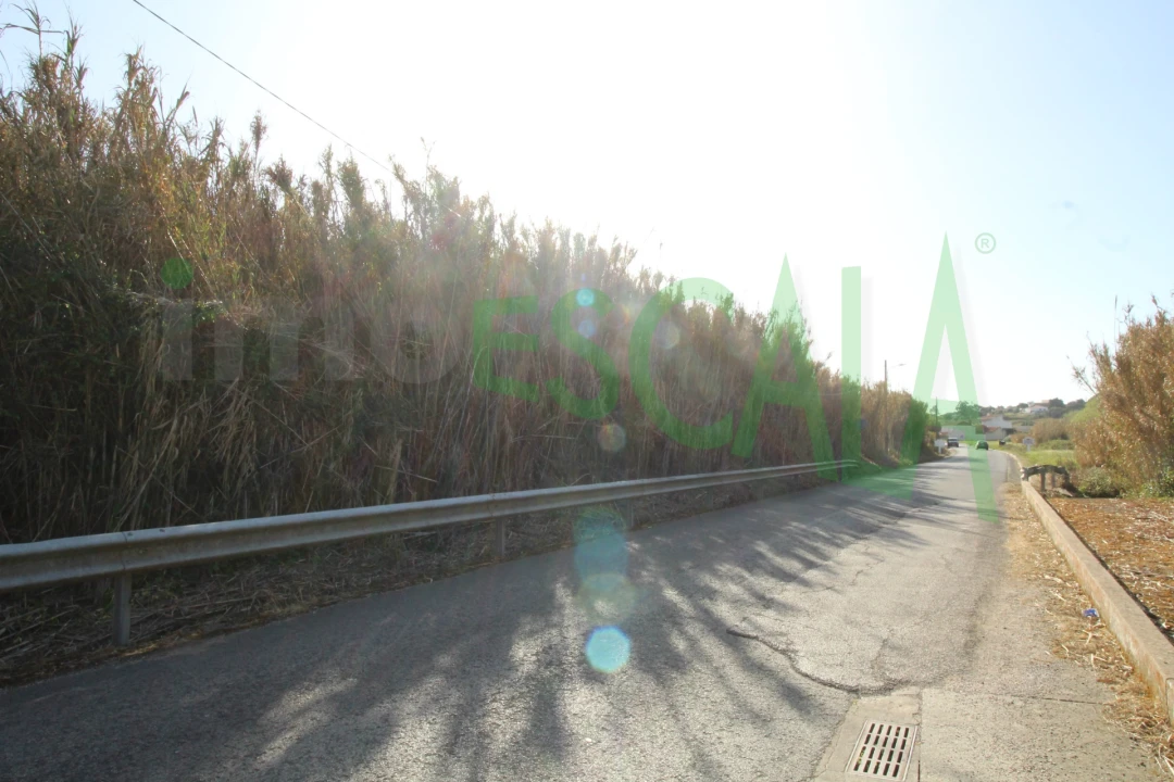 Terreno Misto para Venda em Manique do Intendente, Vila Nova de São Pedro e Maçussa Foto 16