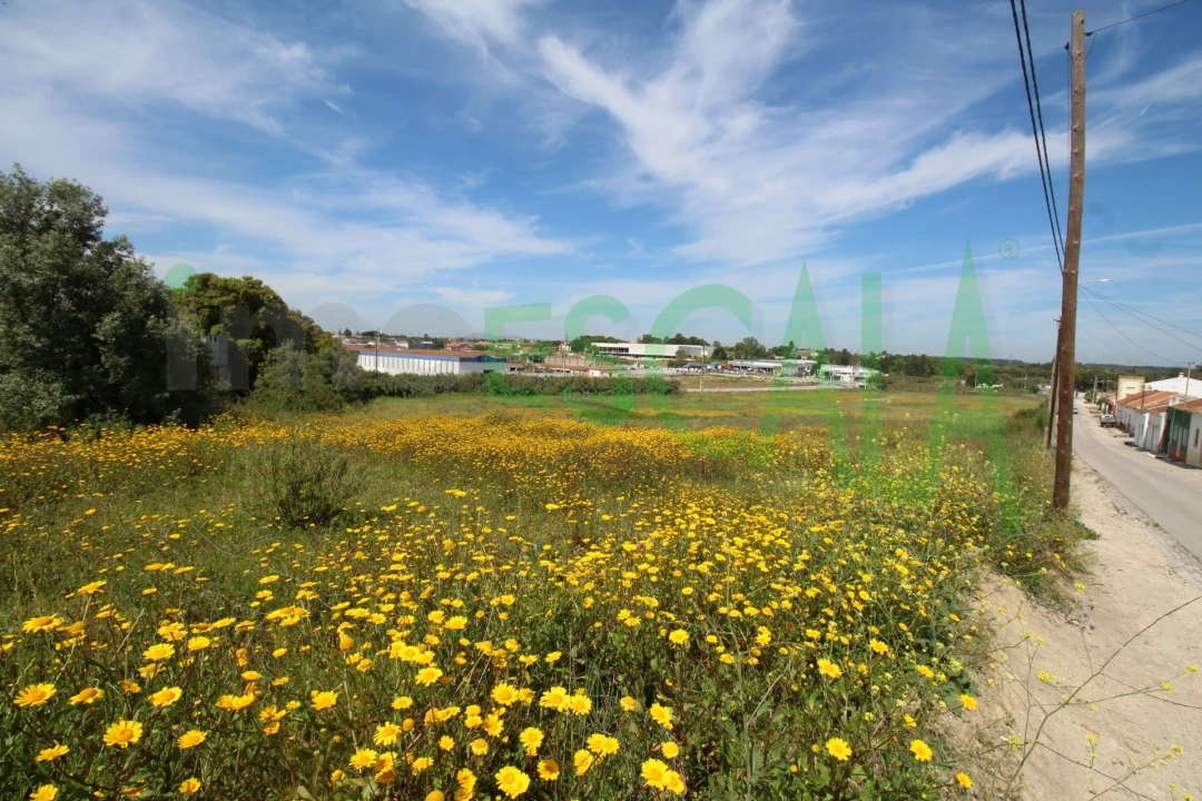 Terreno para Venda em Vila Chã de Ourique Foto 29