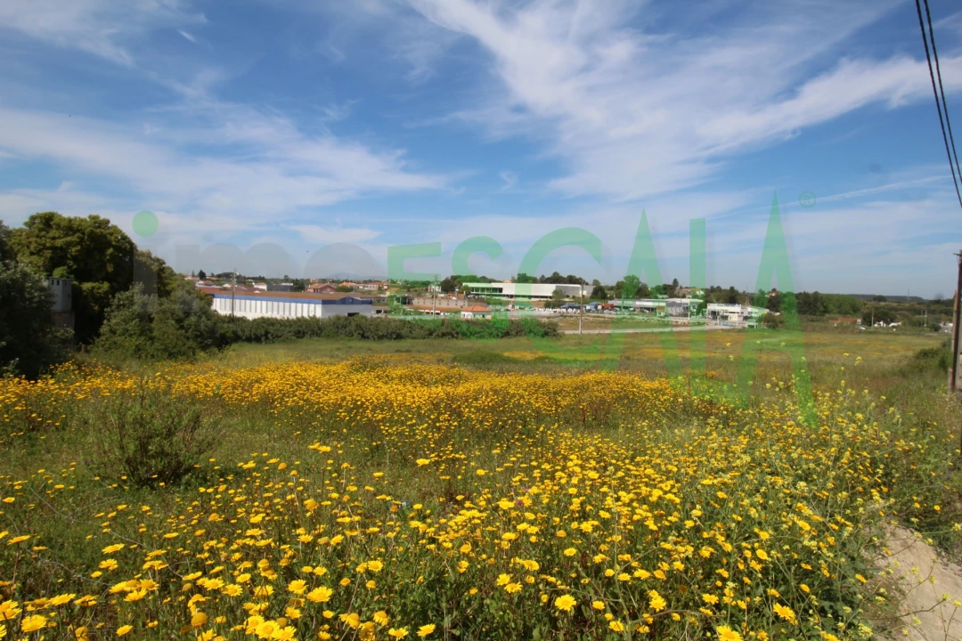 Terreno para Venda em Vila Chã de Ourique Foto 3