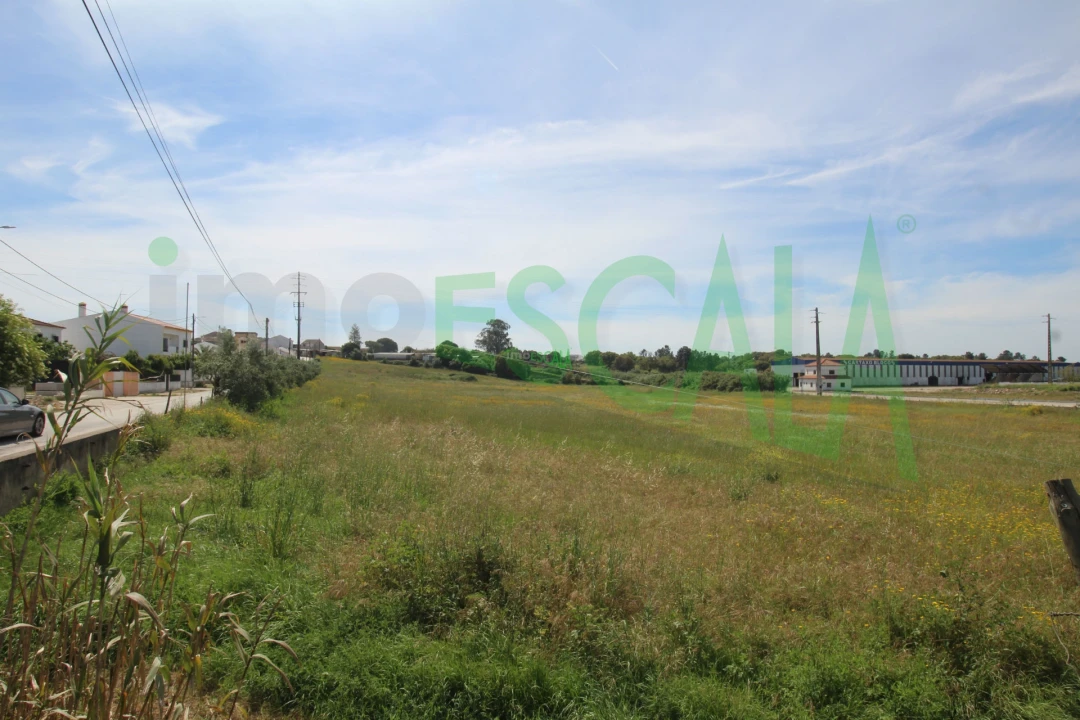 Terreno para Venda em Vila Chã de Ourique Foto 16